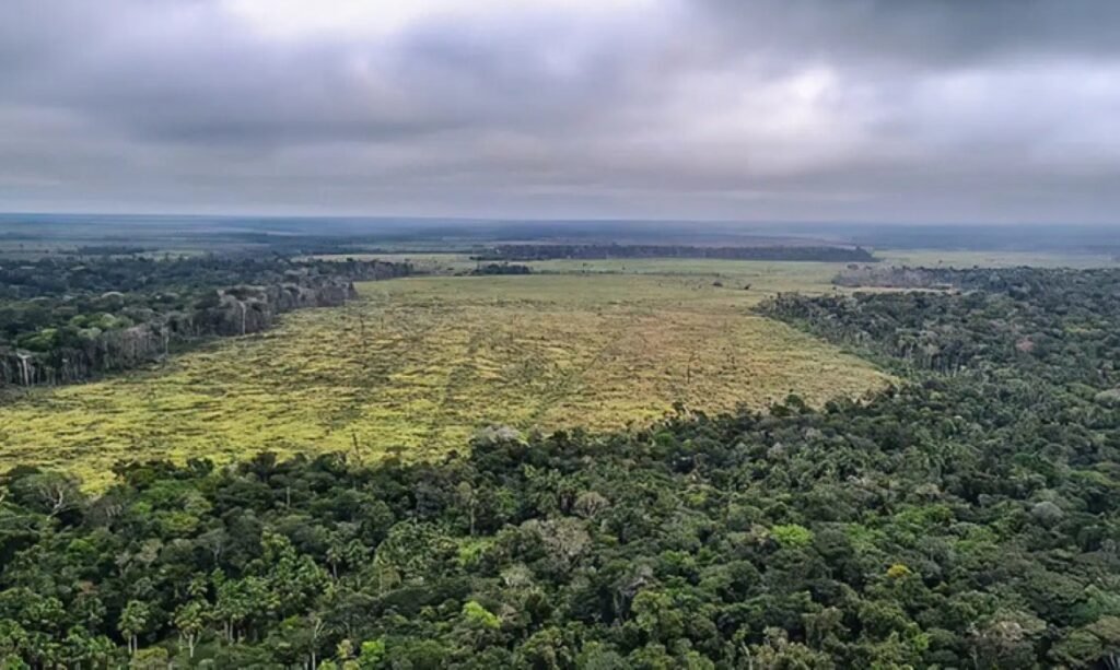 Justiça mantém multa de R$ 4,54 mi contra ex-vice-governador de Roraima por desmatamento ilegal