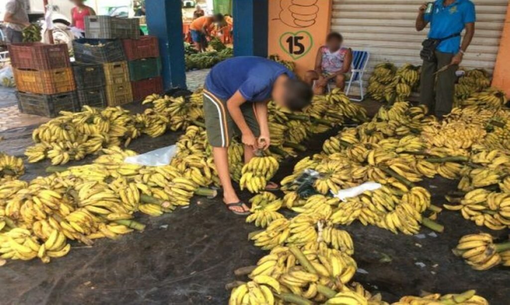 Boa Vista concentra 43,5% dos casos de trabalho infantil em Roraima, aponta estudo divulgado por ministério