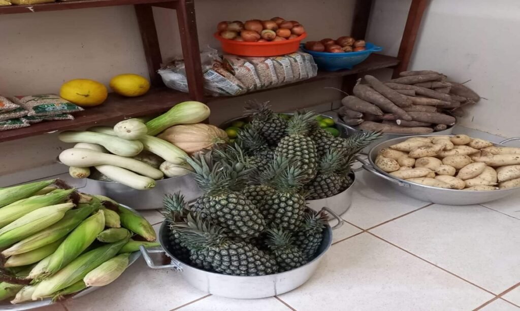 Integração do PNAE ao Contrata+Brasil amplia compras da agricultura familiar em Roraima