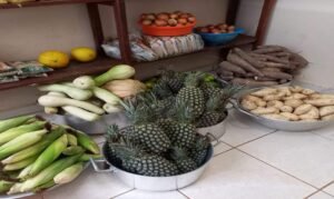 Integração do PNAE ao Contrata+Brasil amplia compras da agricultura familiar em Roraima