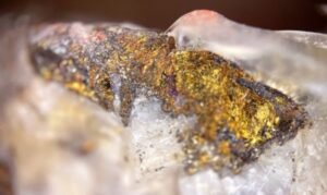 MPF pede aumento de penas para condenados por exploração ilegal de ouro e lavagem de dinheiro em Roraima