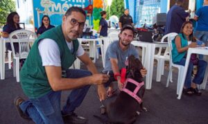 Campanha contra raiva começa com vacinação gratuita em diversos pontos da capital