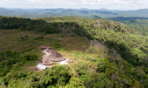 Senado deve fazer diligência em Roraima para investigar denúncias de desabastecimento de alimentos entre indígenas