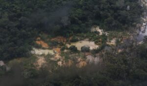 Relatório alerta para vulnerabilidades dos Yanomami em saúde, educação e segurança