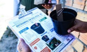 Boa Vista amplia vigilância contra dengue com armadilhas em áreas de maior risco